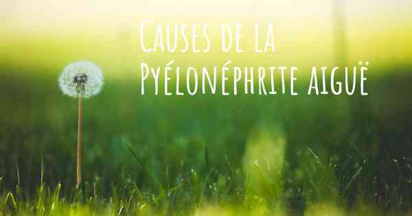 Causes de la Pyélonéphrite aiguë