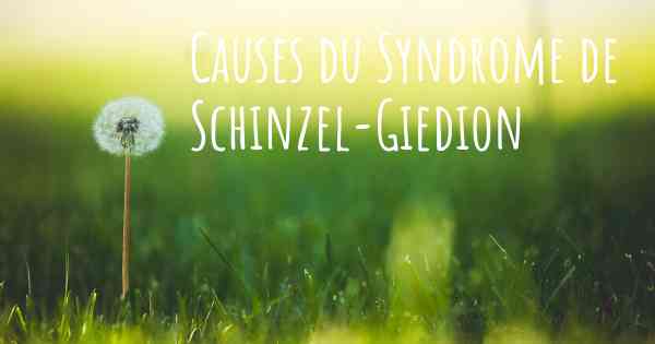 Causes du Syndrome de Schinzel-Giedion