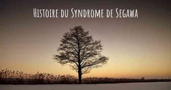Histoire du Syndrome de Segawa