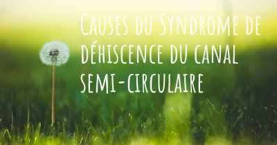 Causes du Syndrome de déhiscence du canal semi-circulaire