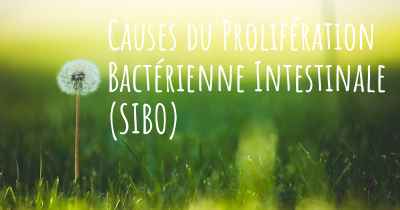 Causes du Prolifération Bactérienne Intestinale (SIBO)