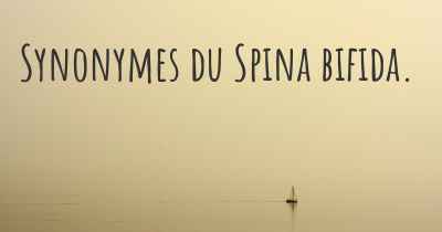 Synonymes du Spina bifida. 