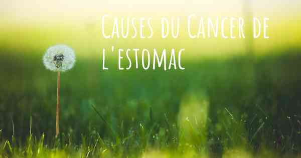 Causes du Cancer de l'estomac