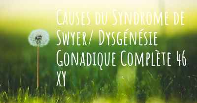 Causes du Syndrome de Swyer/ Dysgénésie Gonadique Complète 46 XY