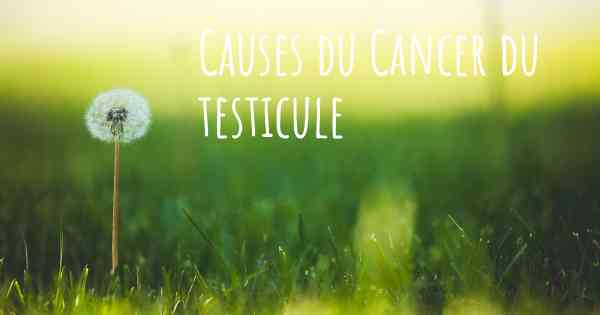 Causes du Cancer du testicule