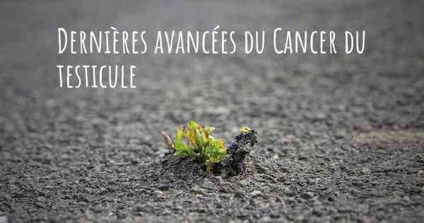 Dernières avancées du Cancer du testicule