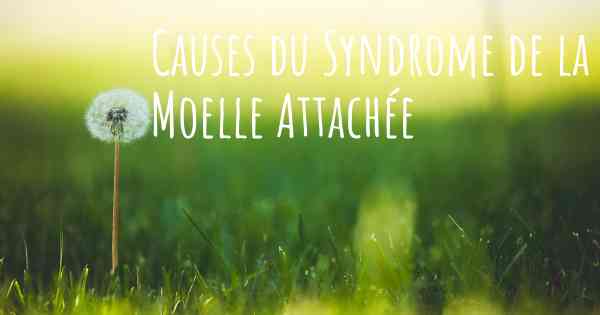 Causes du Syndrome de la Moelle Attachée