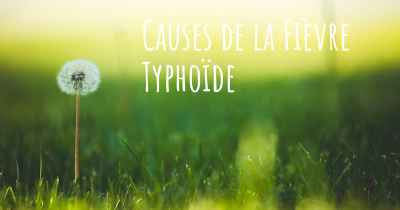 Causes de la Fièvre Typhoïde