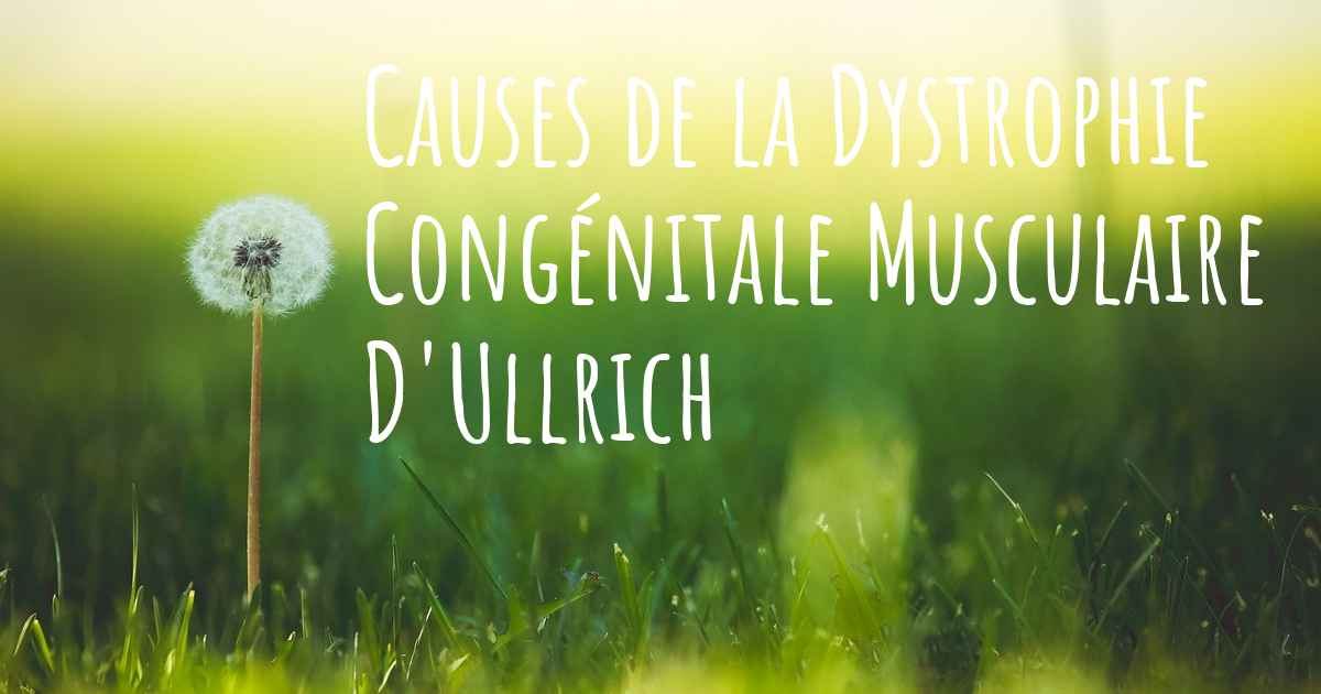 Quelles sont les causes de la Dystrophie Congénitale Musculaire D'Ullrich?