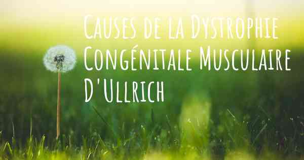Causes de la Dystrophie Congénitale Musculaire D'Ullrich