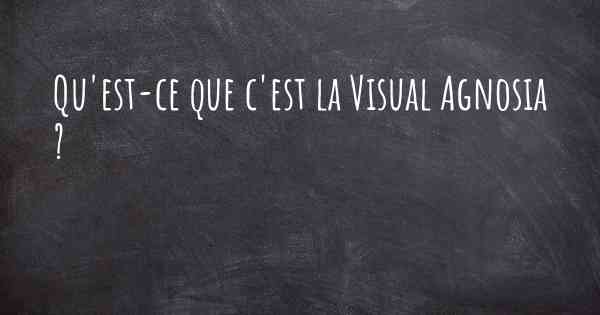 Qu'est-ce que c'est la Visual Agnosia ?