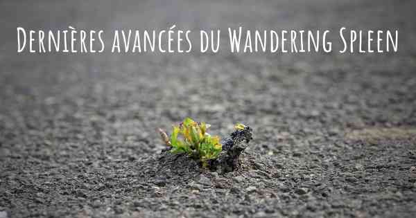 Dernières avancées du Wandering Spleen