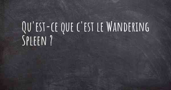 Qu'est-ce que c'est le Wandering Spleen ?