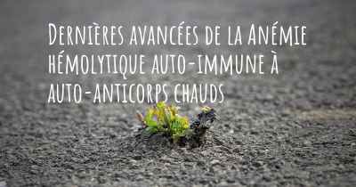 Dernières avancées de la Anémie hémolytique auto-immune à auto-anticorps chauds