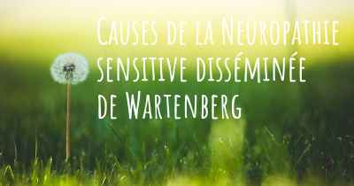 Causes de la Neuropathie sensitive disséminée de Wartenberg