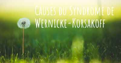 Causes du Syndrome de Wernicke-Korsakoff