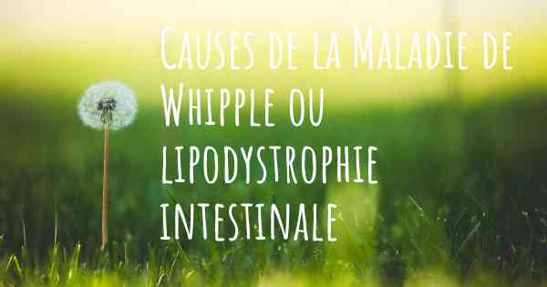 Causes de la Maladie de Whipple ou lipodystrophie intestinale