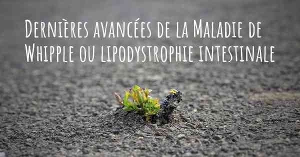 Dernières avancées de la Maladie de Whipple ou lipodystrophie intestinale