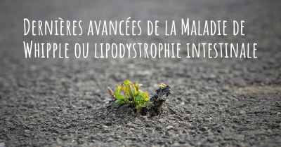 Dernières avancées de la Maladie de Whipple ou lipodystrophie intestinale