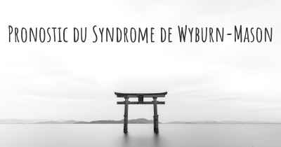 Pronostic du Syndrome de Wyburn-Mason