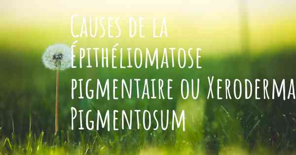 Causes de la Épithéliomatose pigmentaire ou Xeroderma Pigmentosum