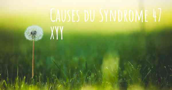 Causes du Syndrome 47 XYY