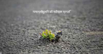 गामाग्लो‍बुलिन की नवीनतम प्रगति