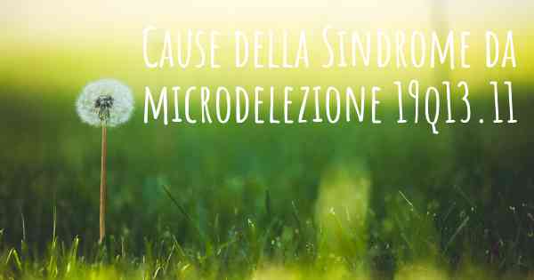 Cause della Sindrome da microdelezione 19q13.11