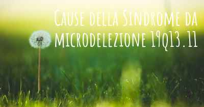 Cause della Sindrome da microdelezione 19q13.11