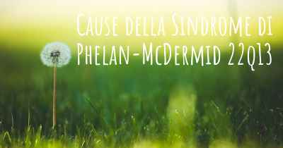 Cause della Sindrome di Phelan-McDermid 22q13