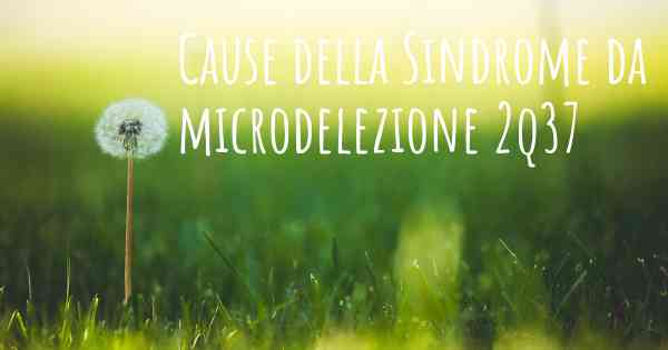 Cause della Sindrome da microdelezione 2q37