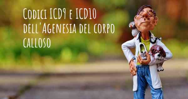Codici ICD9 e ICD10 dell'Agenesia del corpo calloso