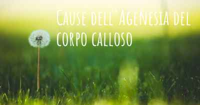 Cause dell'Agenesia del corpo calloso