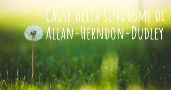 Cause della Sindrome di Allan-Herndon-Dudley