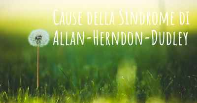 Cause della Sindrome di Allan-Herndon-Dudley