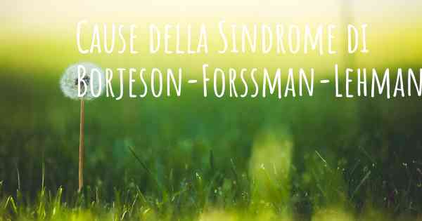 Cause della Sindrome di Borjeson-Forssman-Lehmann