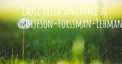Cause della Sindrome di Borjeson-Forssman-Lehmann