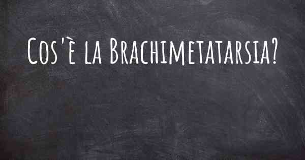 Cos'è la Brachimetatarsia?