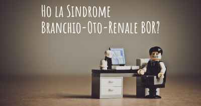 Ho la Sindrome Branchio-Oto-Renale BOR?