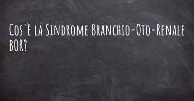 Cos'è la Sindrome Branchio-Oto-Renale BOR?