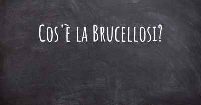 Cos'è la Brucellosi?