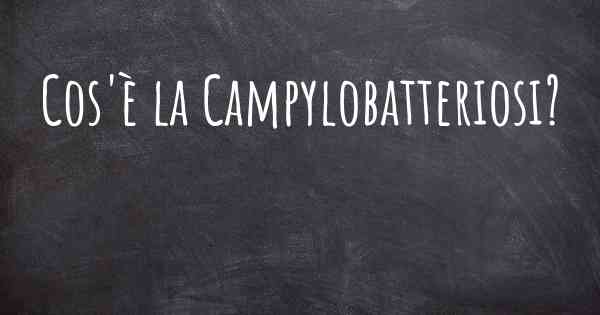Cos'è la Campylobatteriosi?