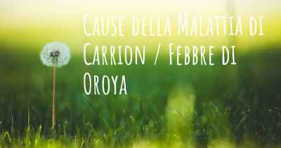 Cause della Malattia di Carrion / Febbre di Oroya