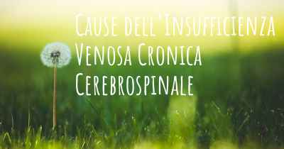 Cause dell'Insufficienza Venosa Cronica Cerebrospinale