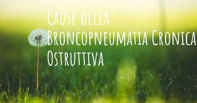 Cause della Broncopneumatia Cronica Ostruttiva