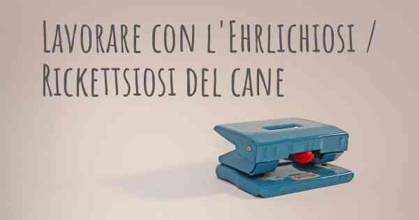 Lavorare con l'Ehrlichiosi / Rickettsiosi del cane