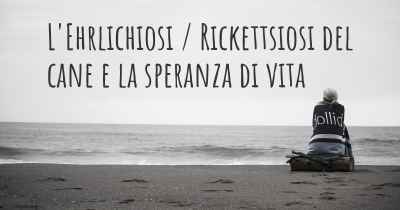 L'Ehrlichiosi / Rickettsiosi del cane e la speranza di vita