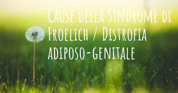 Cause della Sindrome di Froelich / Distrofia adiposo-genitale