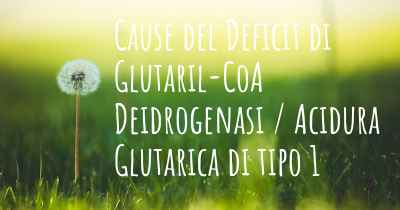 Cause del Deficit di Glutaril-CoA Deidrogenasi / Acidura Glutarica di tipo 1