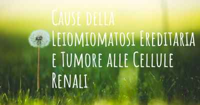Cause della Leiomiomatosi Ereditaria e Tumore alle Cellule Renali